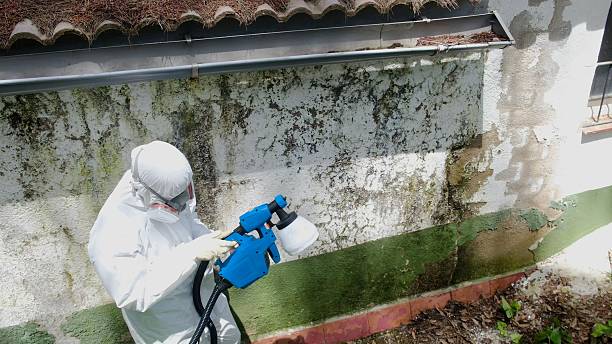 Top rated local Attic Mold Removal specialists in Dayton, OR
